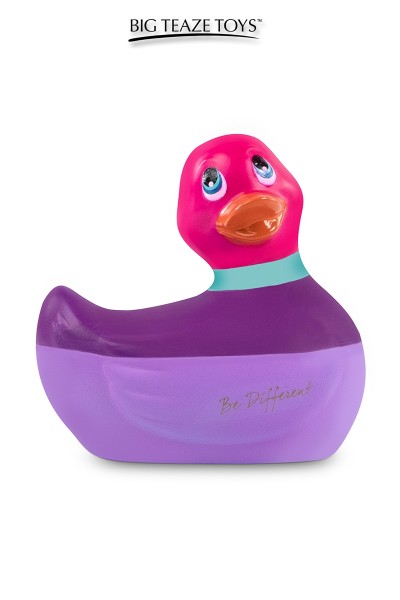 Mini canard vibrant Colors rose