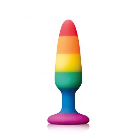 Plug anal Pride Edition Small 