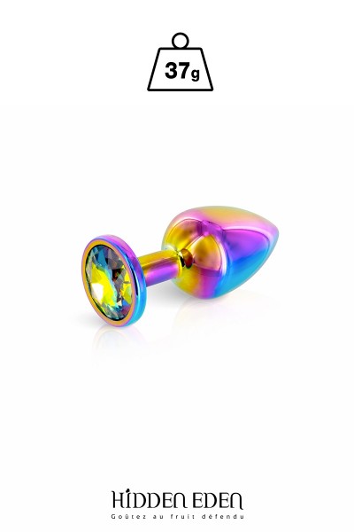 Plug bijou aluminium Rainbow XS - Hidden Eden