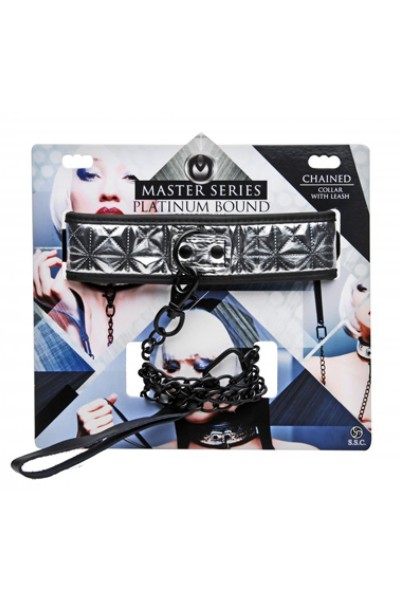 Collier argenté avec laisse - Master Series