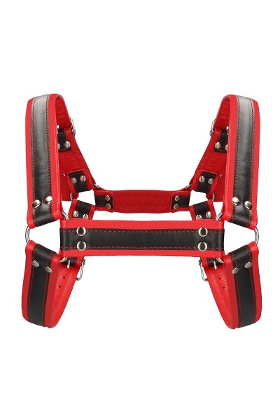 Harnais Buckle Bulldog rouge - Ouch!