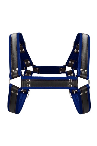 Harnais Buckle Bulldog bleu - Ouch!