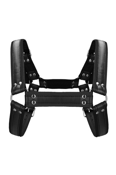 Harnais Buckle Bulldog noir - Ouch!